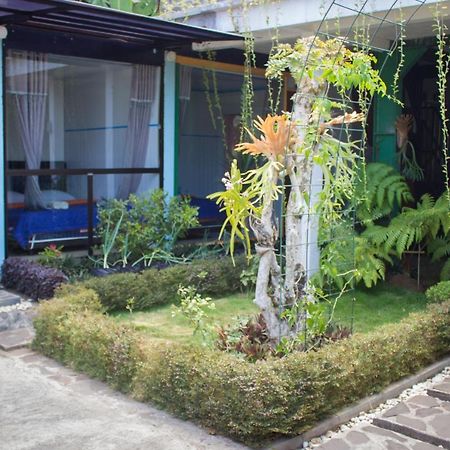 Bromo Ecolodge Exterior foto